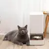 Изображение товара 2