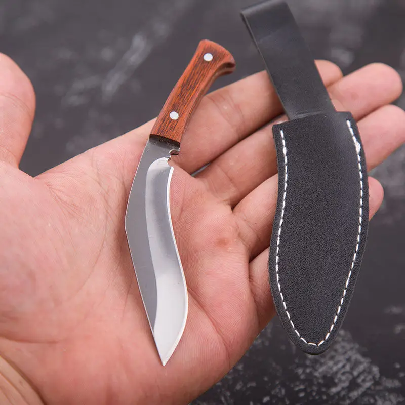 Mini Mini Nhỏ Dao Rựa Trái Cây Cao Cấp Độ Cứng Ngoài Trời Dao Trái Cây Chia Thể Hiện Dao