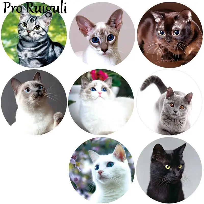 Kitty Cartoon Children Stickers Skateboard Guitar Suitcase Girls Waterproof scrapbooking Sticker Kid Toy stationery