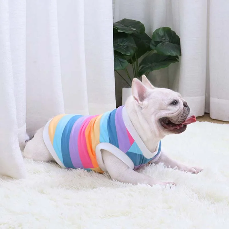 Бархатный жилет для французских боев на осень и зиму собак утолщенный зимний