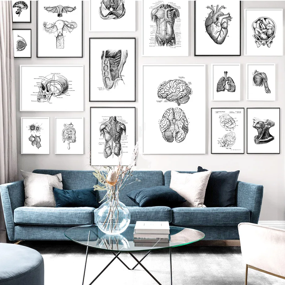 

Black And White Brain Heart Skull kidney Anatomy Wall Art Canvas Painting Nordic Posters And Prints Wall Pictures Office Decor