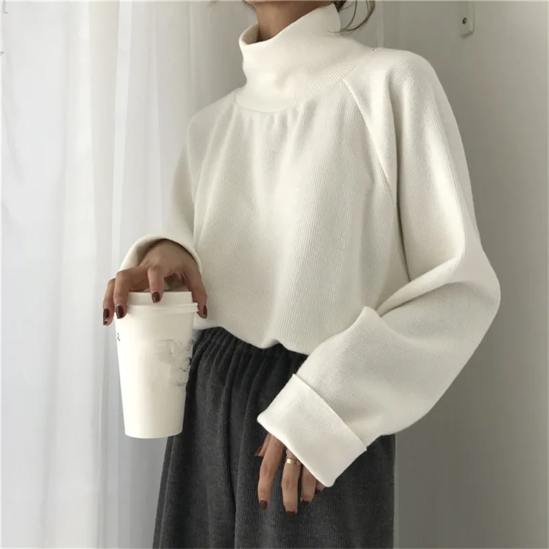 

New Turtleneck Long Sleeve Women Sweater Solid Sueter Mujer Loose Casual Female Pullovers
