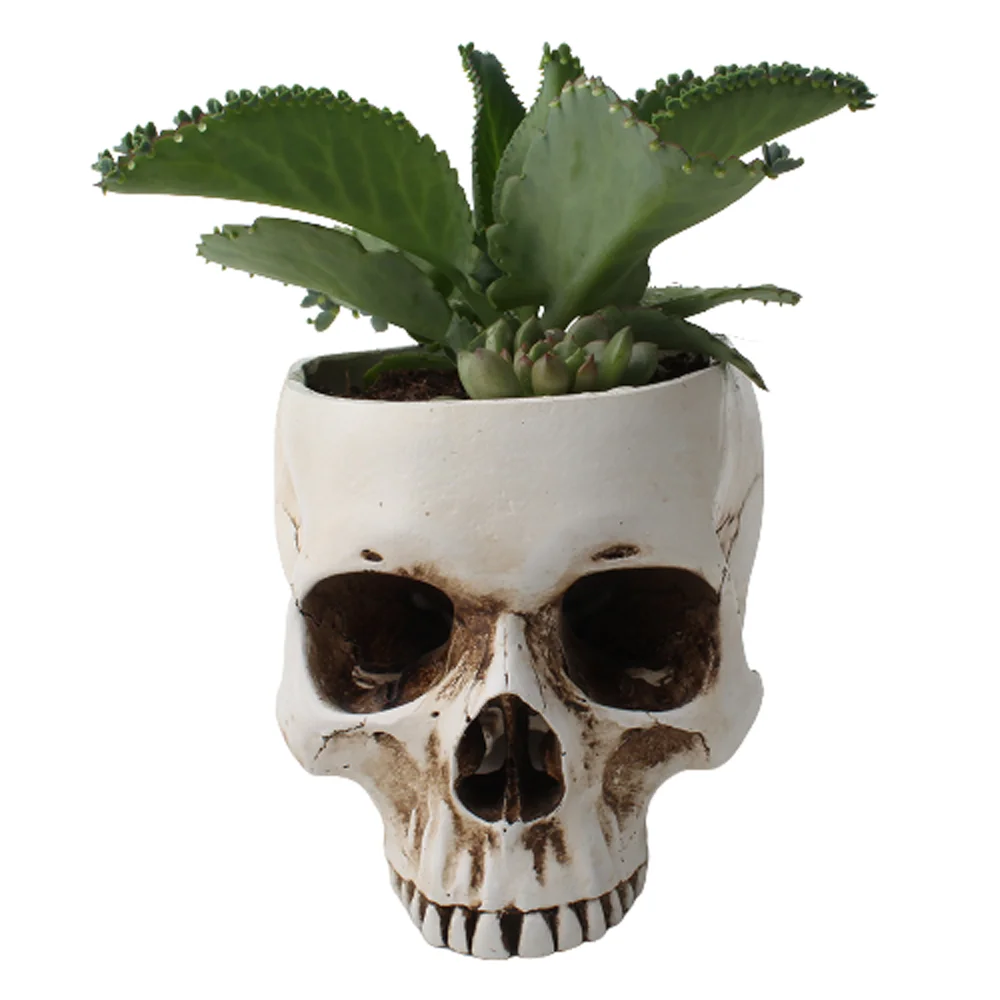 

Resin Skull Model Flower Pot Fruit Plate Storage Container Garden Flower Pot Planter Skull Pot Home Decor Crafts