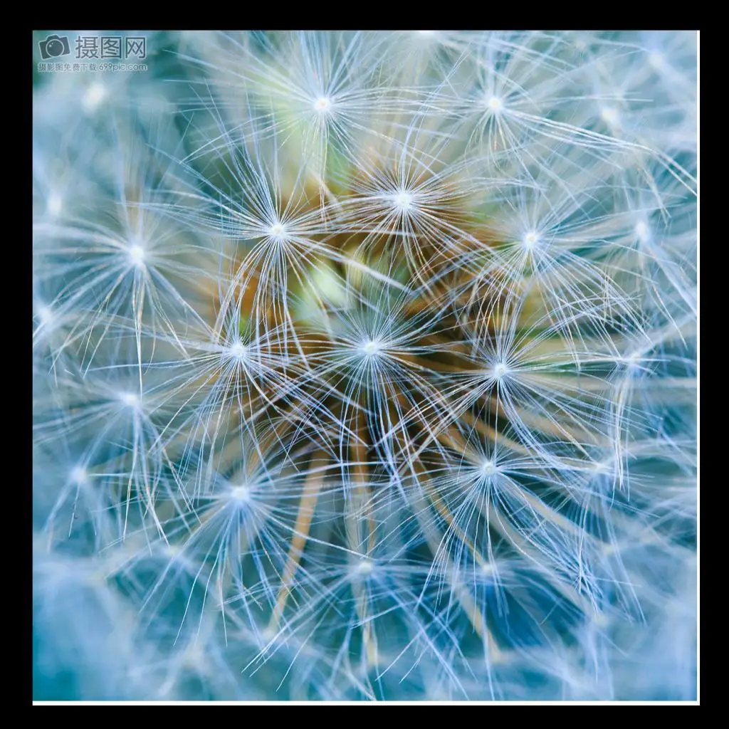 8 шт. банджи веревка шок шнур оснастки крюк для каяк каноэ Удочка