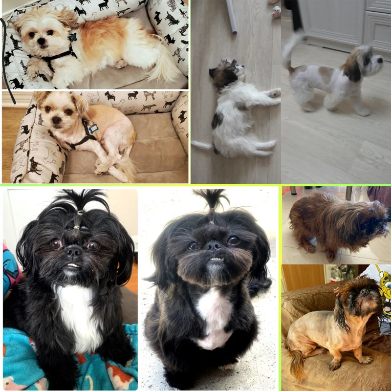 Машинка для стрижки собак машинка домашних животных кошка профессиональная