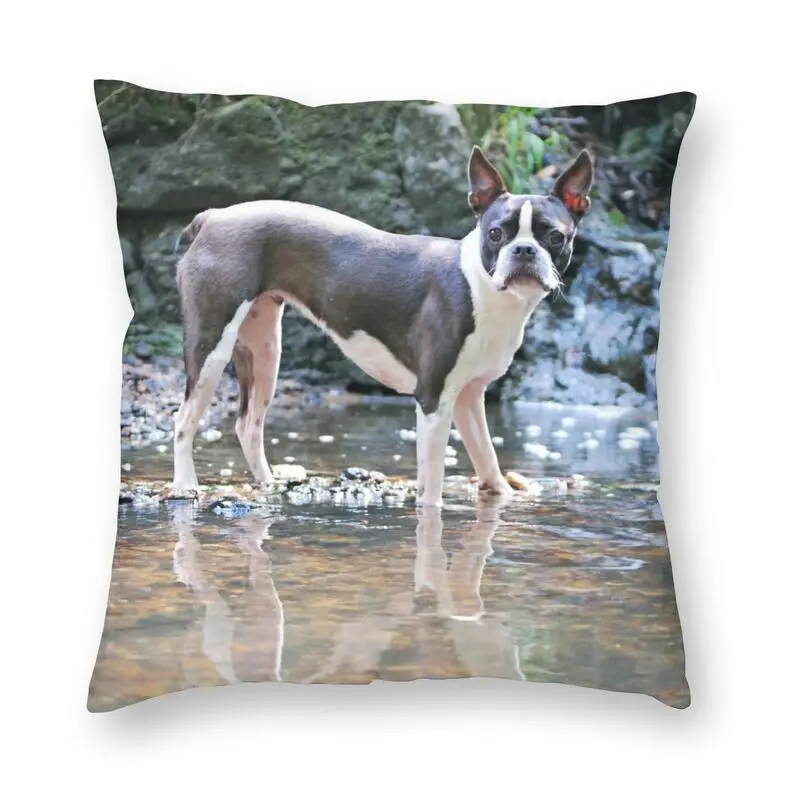 

Чехол для диванной подушки с изображением Бостонского терьера, двусторонний 3d-принт