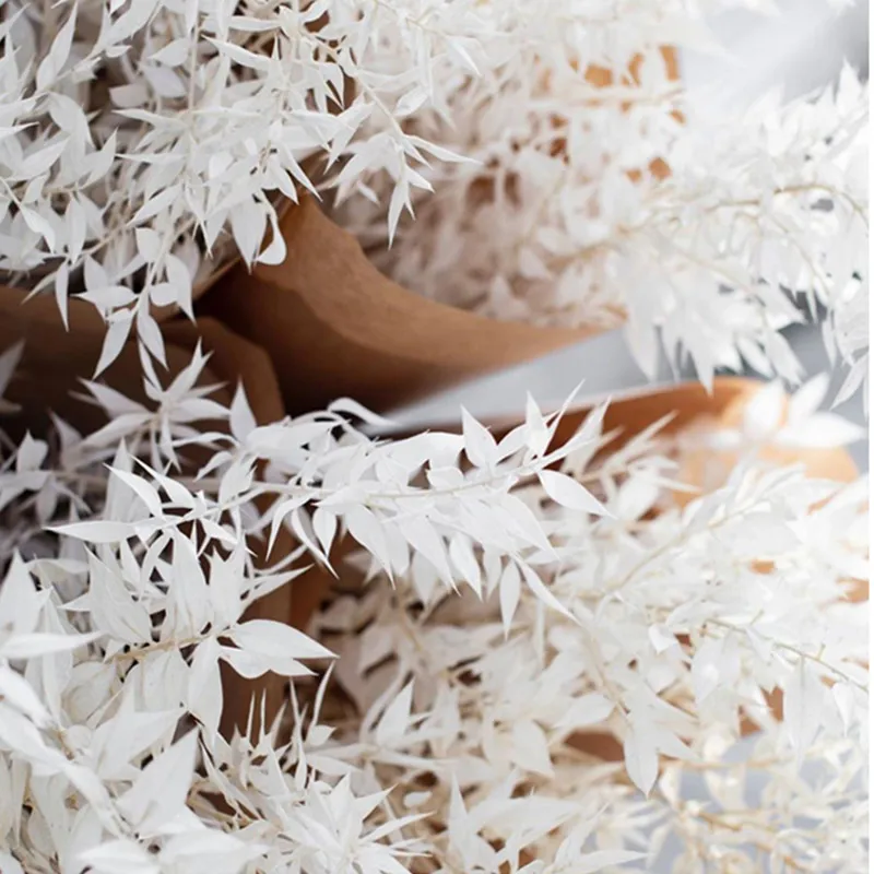 Высушенные цветы в скандинавском стиле натуральные листья серебряного кедра для