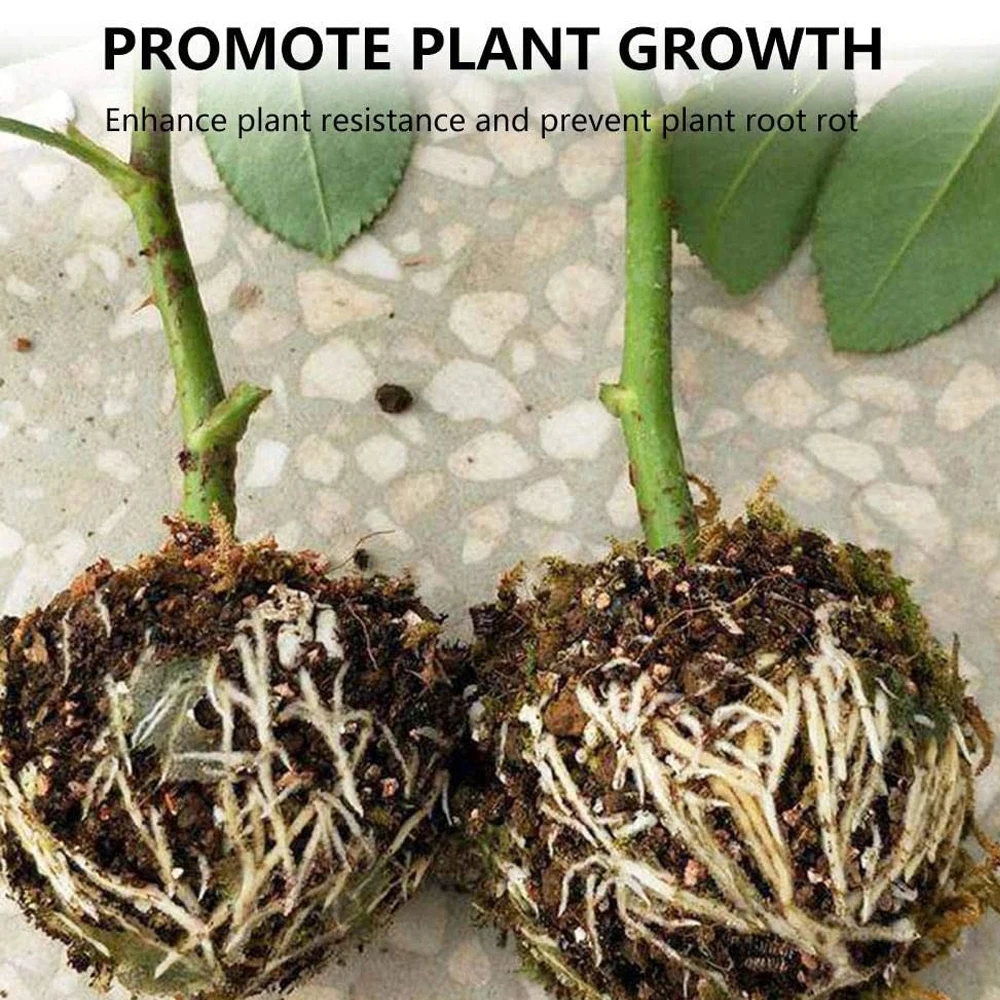 Коробка для выращивания растений мяч прививки чехол разведения корней садовый