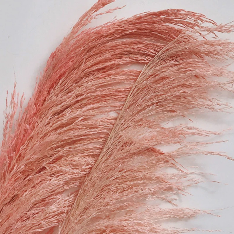 1 шт. розовый тростник труба Сушеный Цветок шипы сушеные цветы Роскошный домашний