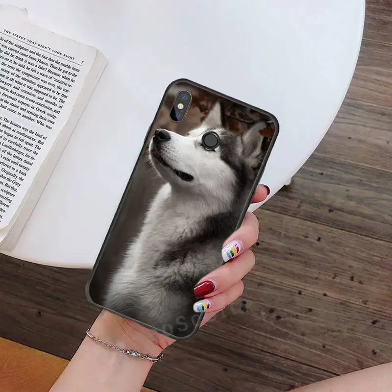

husky cute animal dog Phone Case For Xiaomi Redmi note 7 8 9 t max3 s 10 pro lite Luxury brand shell funda coque