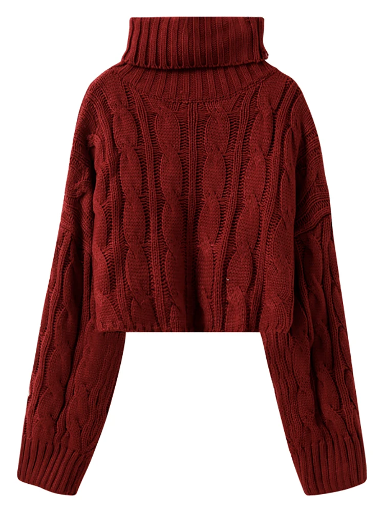 

Women's turtleneck sweater loose wear autumn and winter retro Korean lazy wind thick thick line twist red sweater tide