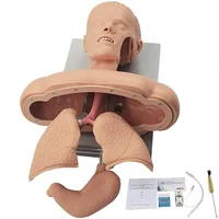 intubation manikin study teaching model airway management trainer intubation head teaching research model training dummy
