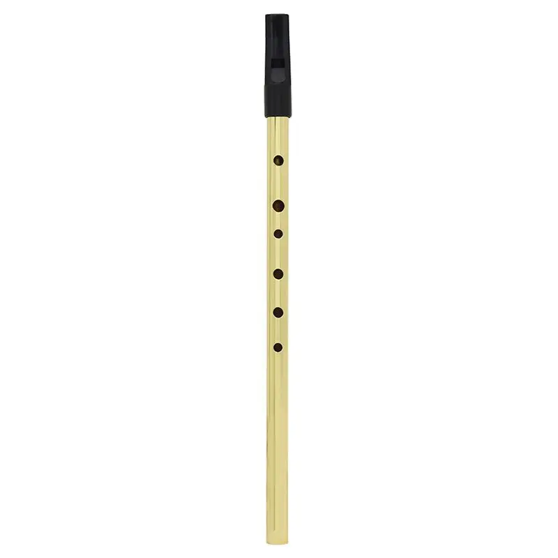 Irish Whistle Ireland Flute whistle Tin Key of D Penny 6 Holes Chanter Mini pocket Musical Instrument Gold | Спорт и развлечения
