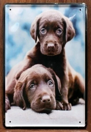 

Metal Vintage Tin Sign Puppy Dog Metal Framed Wall Art Home Wall Decor Shabby Plaque Decor Decorations for Room Posters