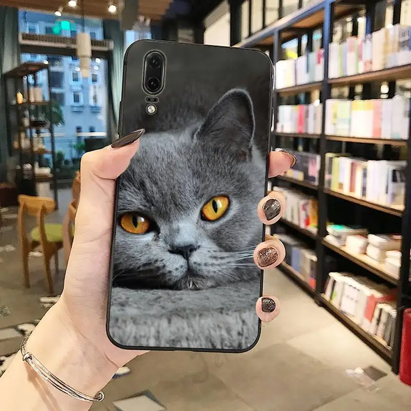 

Webbedepp British Shorthair cat Phone Cases For Huawei honor Mate P 10 20 30 40 Pro 10i 9 10 20 8 x Lite