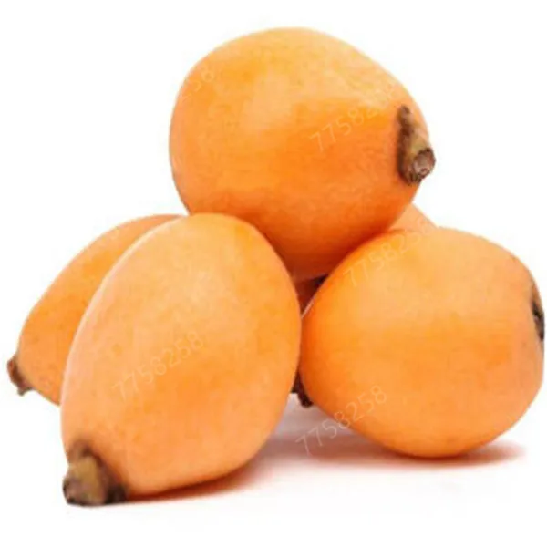 5 шт фрукт локвы дерево мушмула японская куст Такер китайский бонсай сладкий вкус