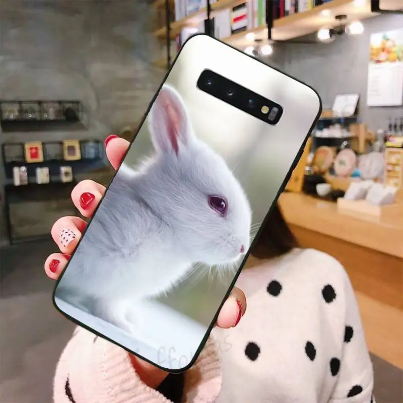 

Cute rabbit Phone Case For Samsung A50 A51 A71 A20E A20S S10 S20 S21 S30 Plus ultra 5G M11 funda shell