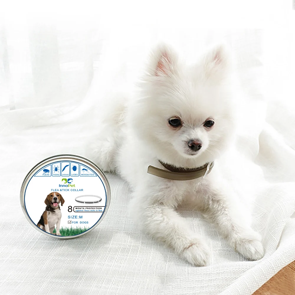 Pet Protect Rubber Necklace Gift Flea Killer Cat Repellent Collar Against Anti Tick Quick Kill Remove | Дом и сад