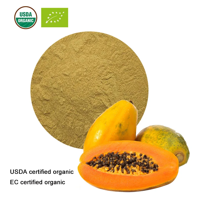 USDA и EC сертифицированный органический фруктовый порошок Pawpaw экстракт папайи 10:1
