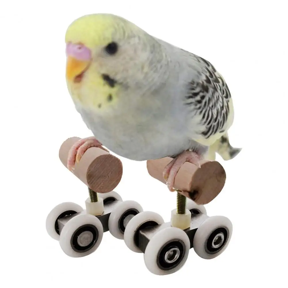 

HOT SALES！！！Parrot Mini Roller Skates Double Row Toy Pet Intelligence Training Supplies