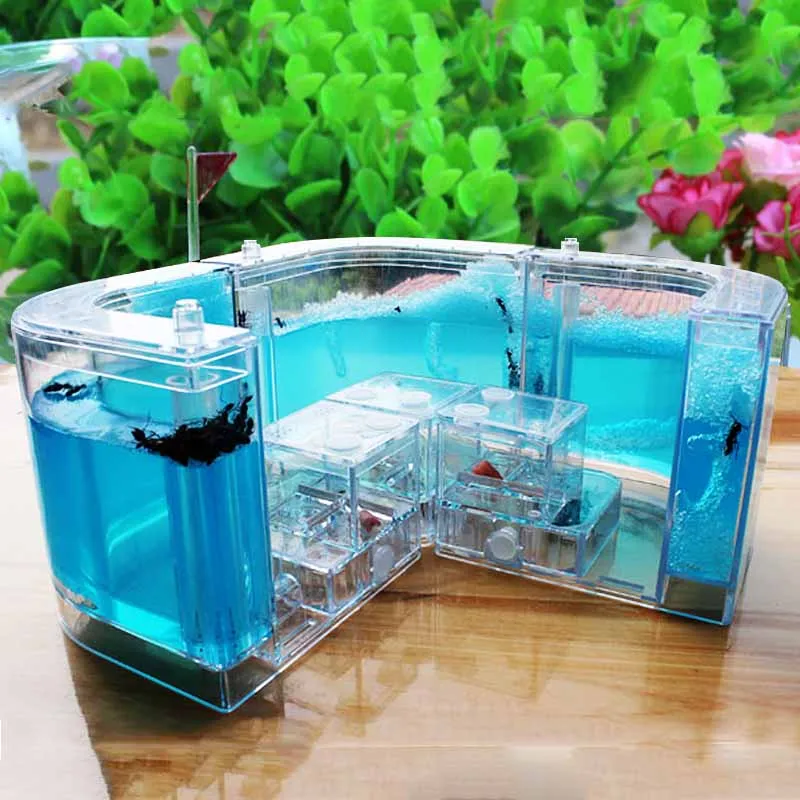1PCS 3D Insect Acrylic Ants For Ant Farm Observed Expansion Maze House Educational Decor Accessories Observed World Ant Box