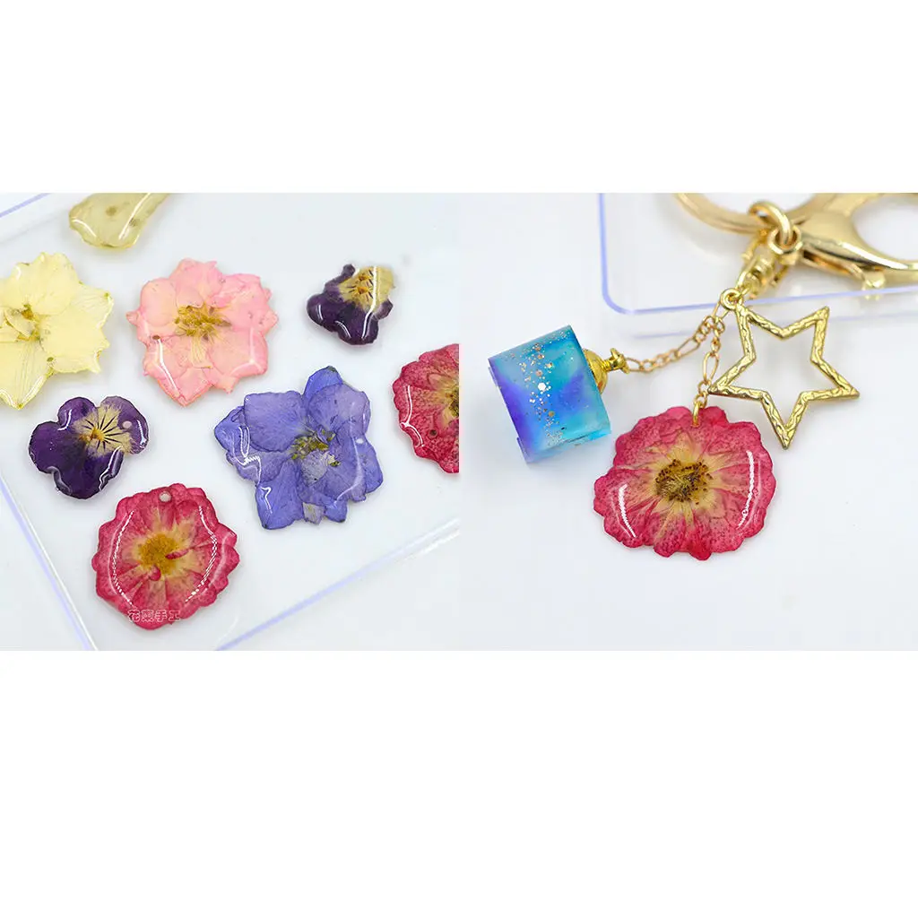 

12pcs Real Dried Flower Chinese Rose Embellishment for DIY Craft