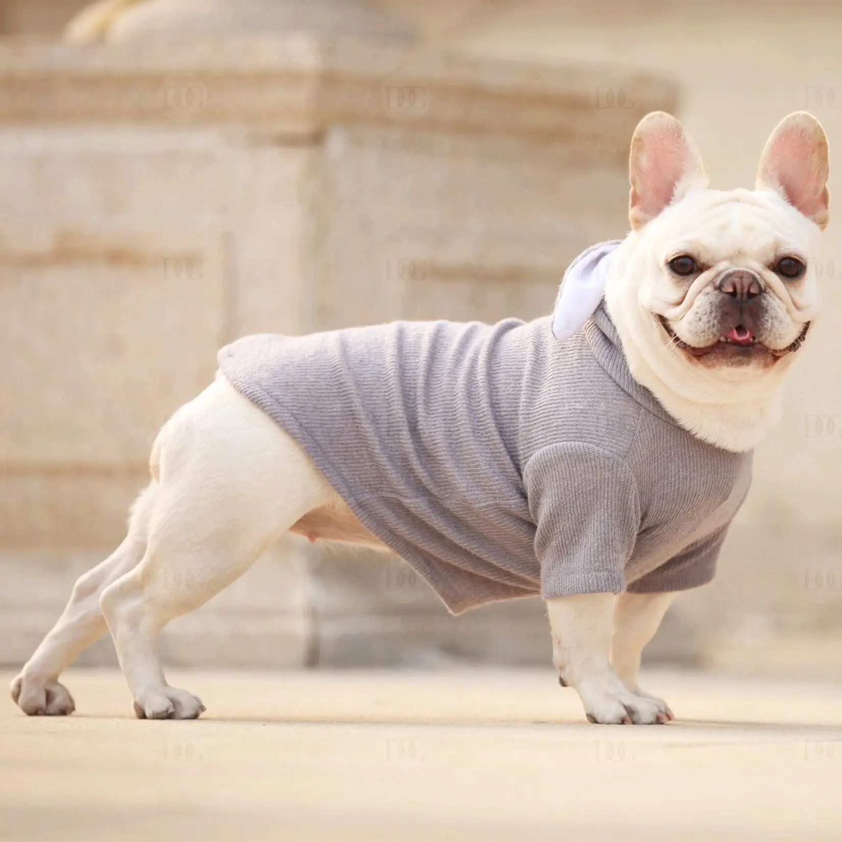 

1 шт. собака одежда на лето и весну модная Однотонная футболка для животных, жилет с капюшоном, одежда для собак, щенков кошек милая маленькая...