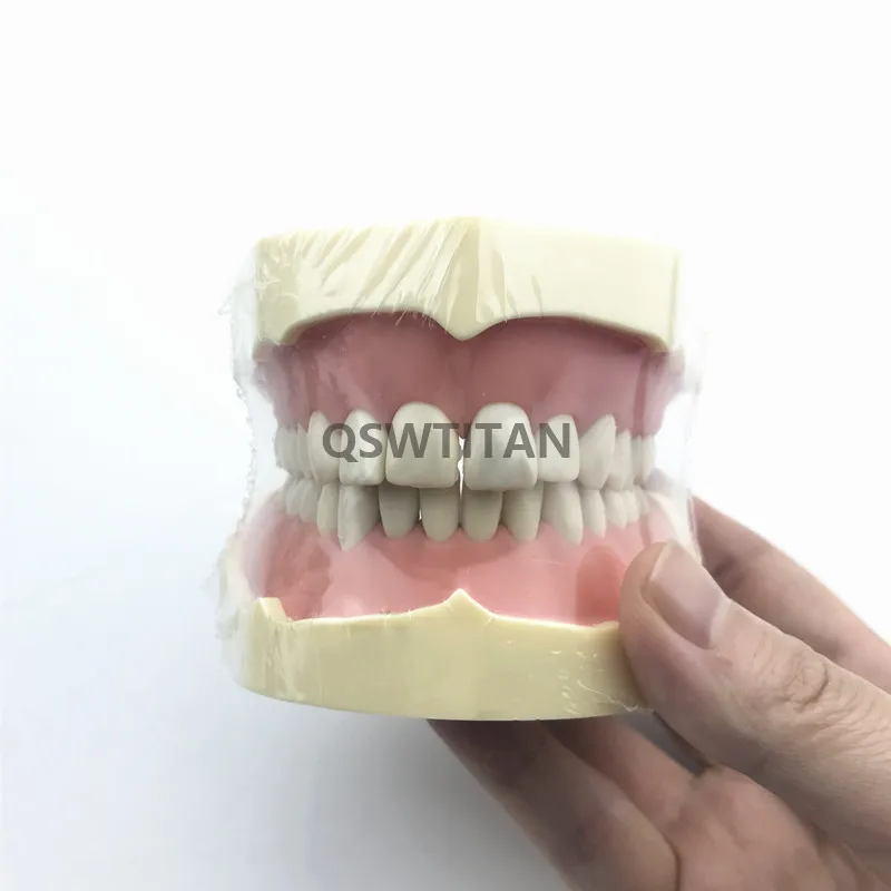 Стоматологический симулятор искусственная кожа демонстрация практических