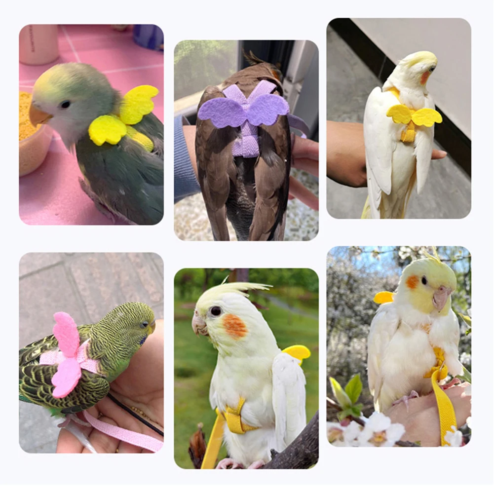 

Parrot Bird Harness and Leash Set Adjustable Outdoor Flying Traction Training Rope With Wing for Small Medium Birds Macaw Budgie