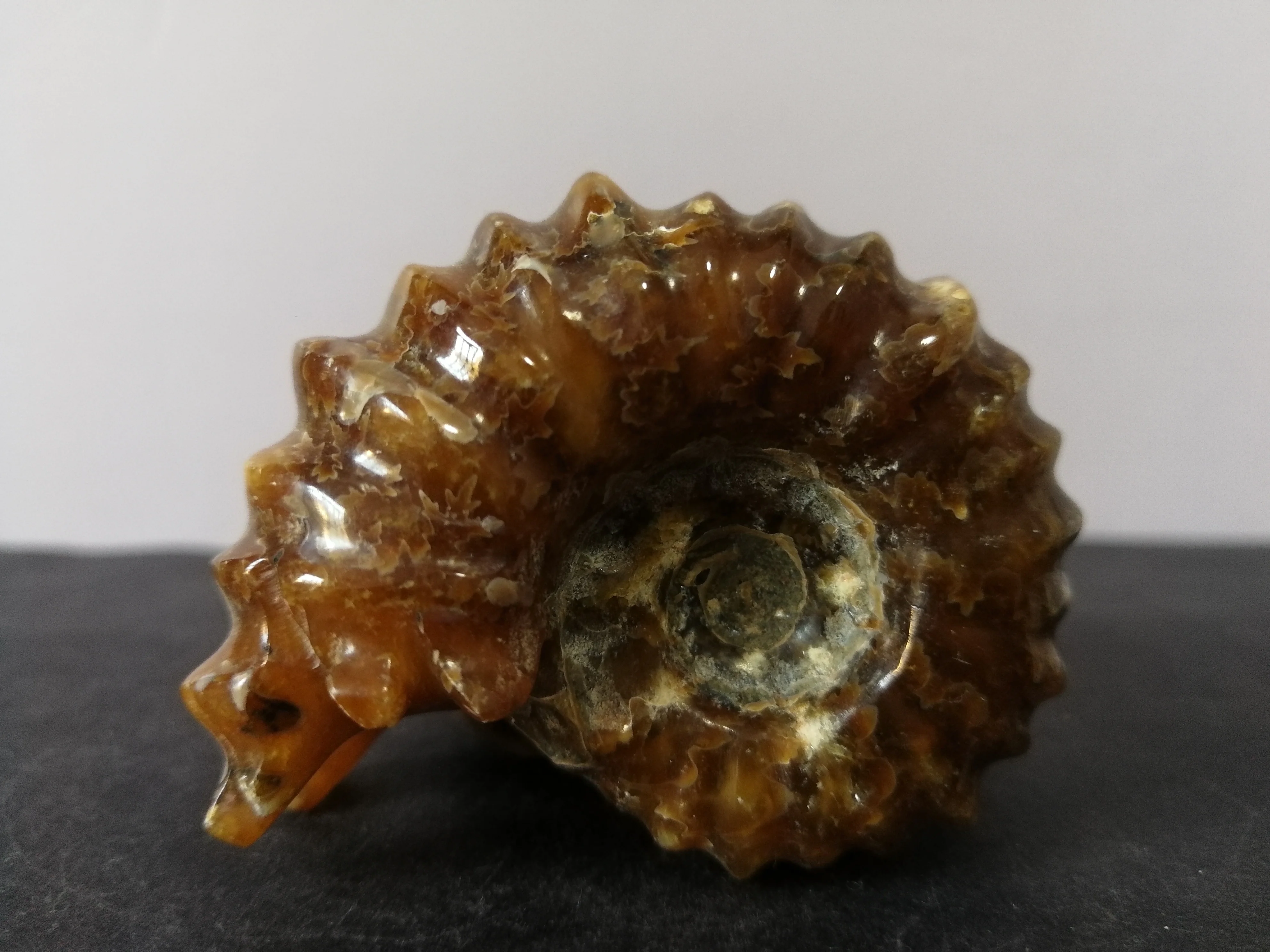 88.6gNatural ammonite crystal quartz specimen energy healing | Дом и сад