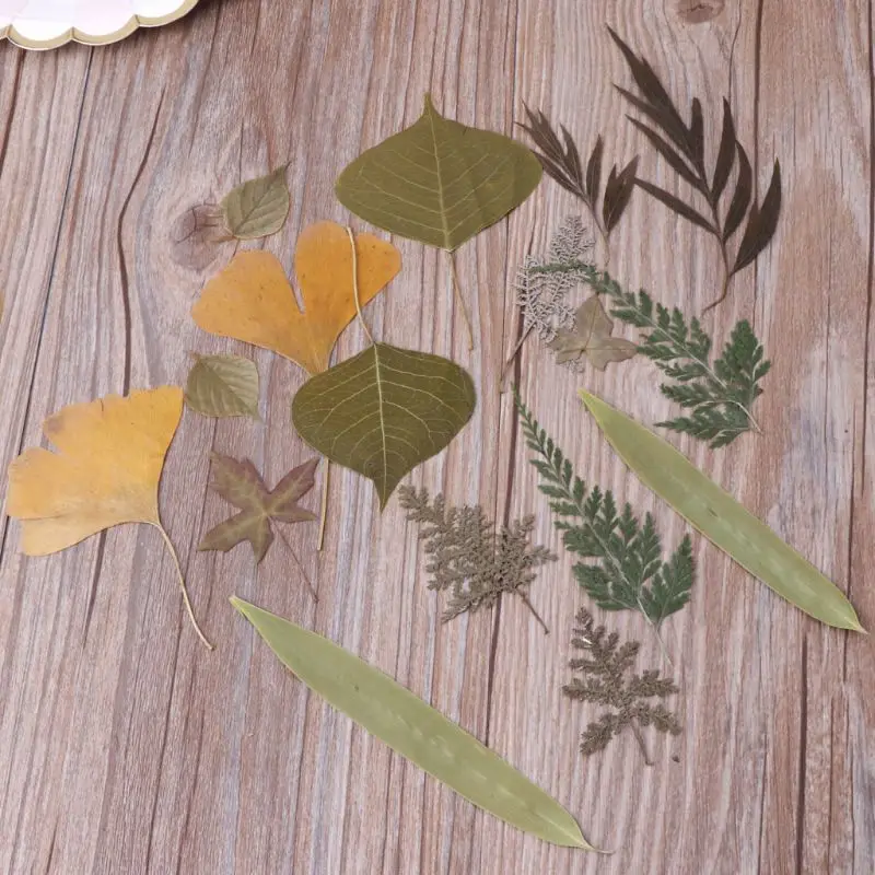 

16Pcs Mix Pressed Leaves Plant Specimen Collection Resin Fillings Epoxy Resin Jewelry Making DIY Scrapbooking Art Craft