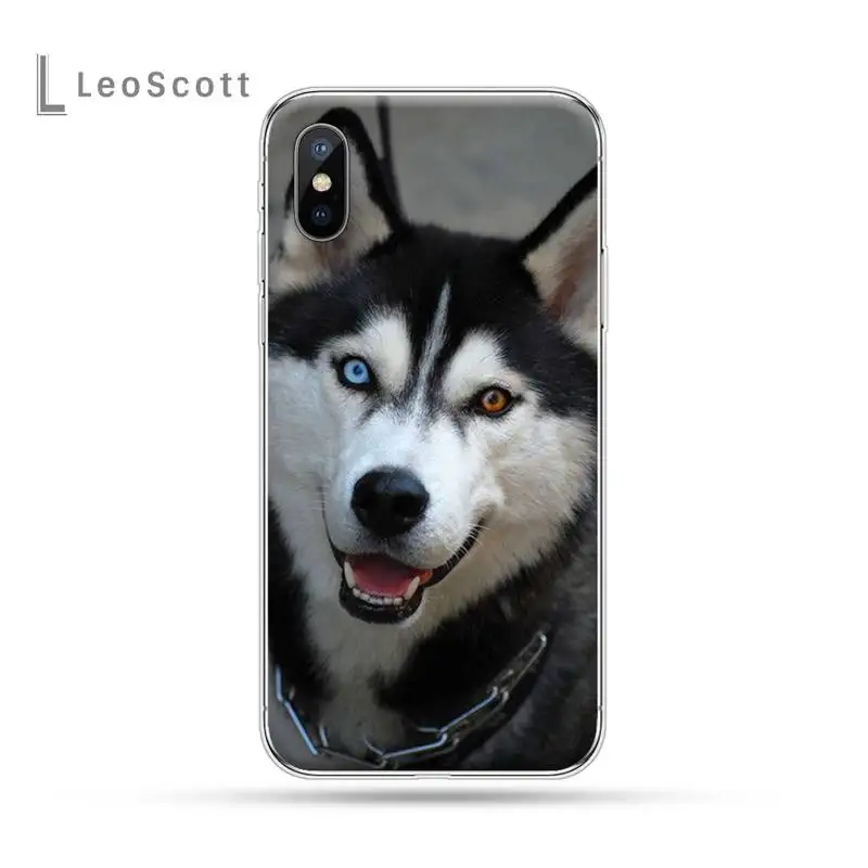 

Husky Dog Phone Case For iphone 12 5 5s 5c se 6 6s 7 8 plus x xs xr 11 pro max