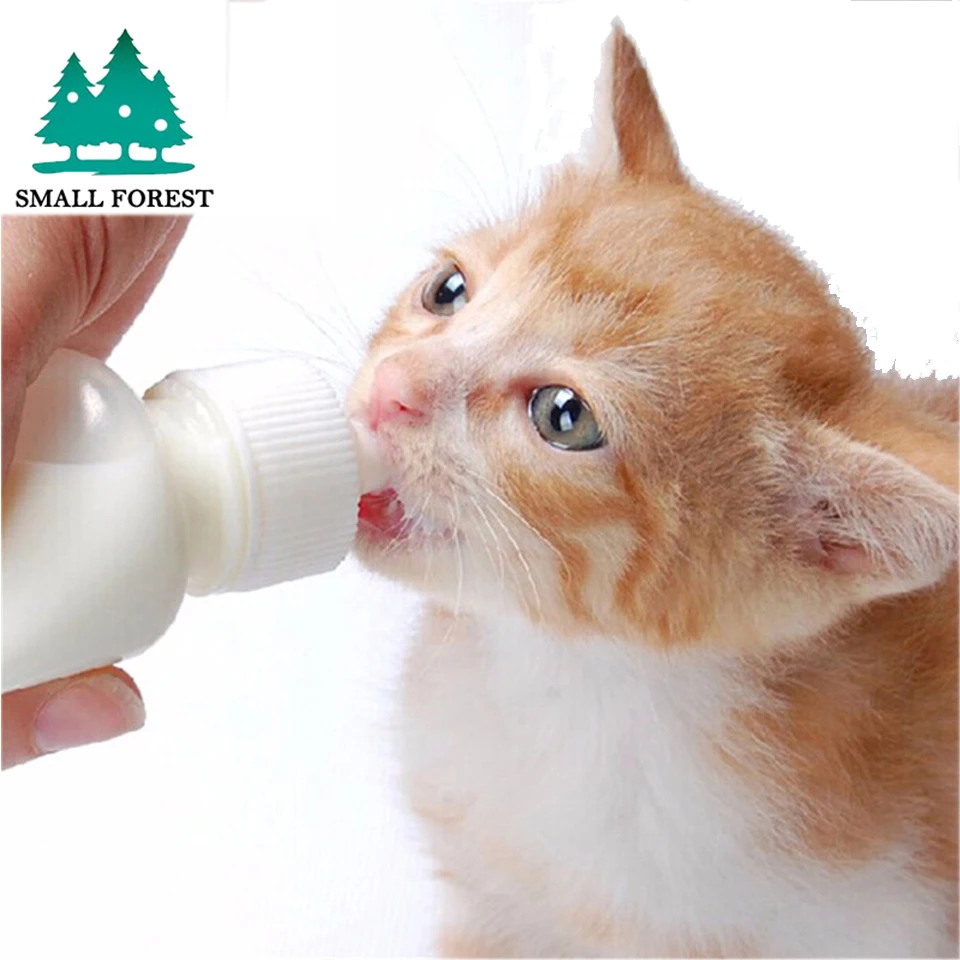 Бутылочка для кормления щенка и котенка маленькая 50 мл|Аксессуары собак| |