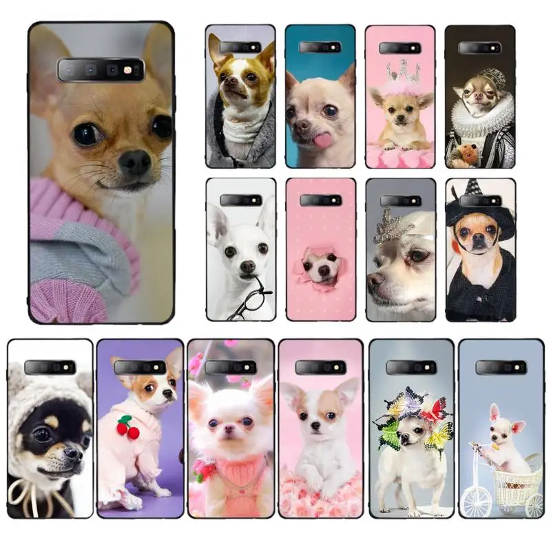 

MaiYaCa Chihuahua Puppy Teacup Dogs Phone Case for Samsung S10 21 20 9 8 plus lite S20 UlTRA 7edge