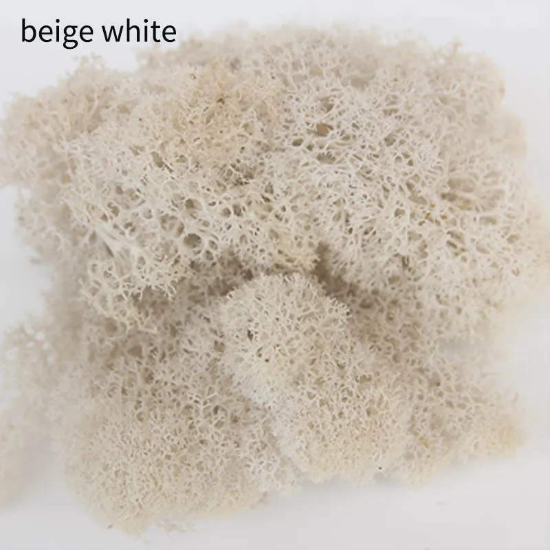 beige white 10 г/упак. искусственное растение вечная жизнь мох домашний сад микро пейзаж DIY цветок материал живой мох Подарочная коробка поставки - Цвет: beige white