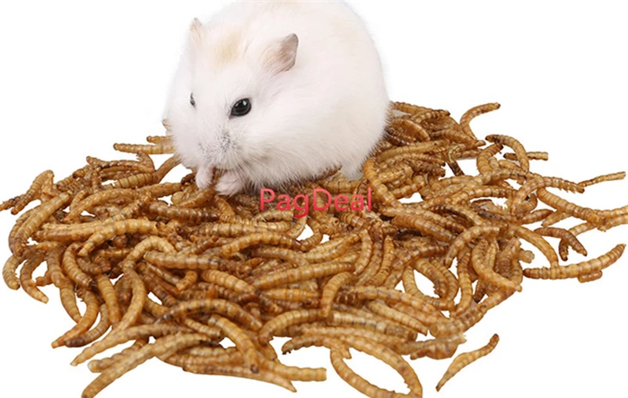 100 г Сушеные Mealworms для аквариума корма рыб рептилия черепаха хомяк дикая птица