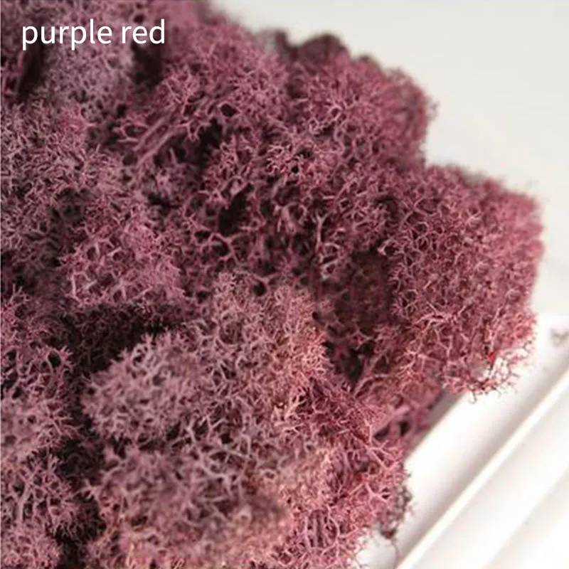 purple red 10 г/упак. искусственное растение вечная жизнь мох домашний сад микро пейзаж DIY цветок материал живой мох Подарочная коробка поставки - Цвет: purple red