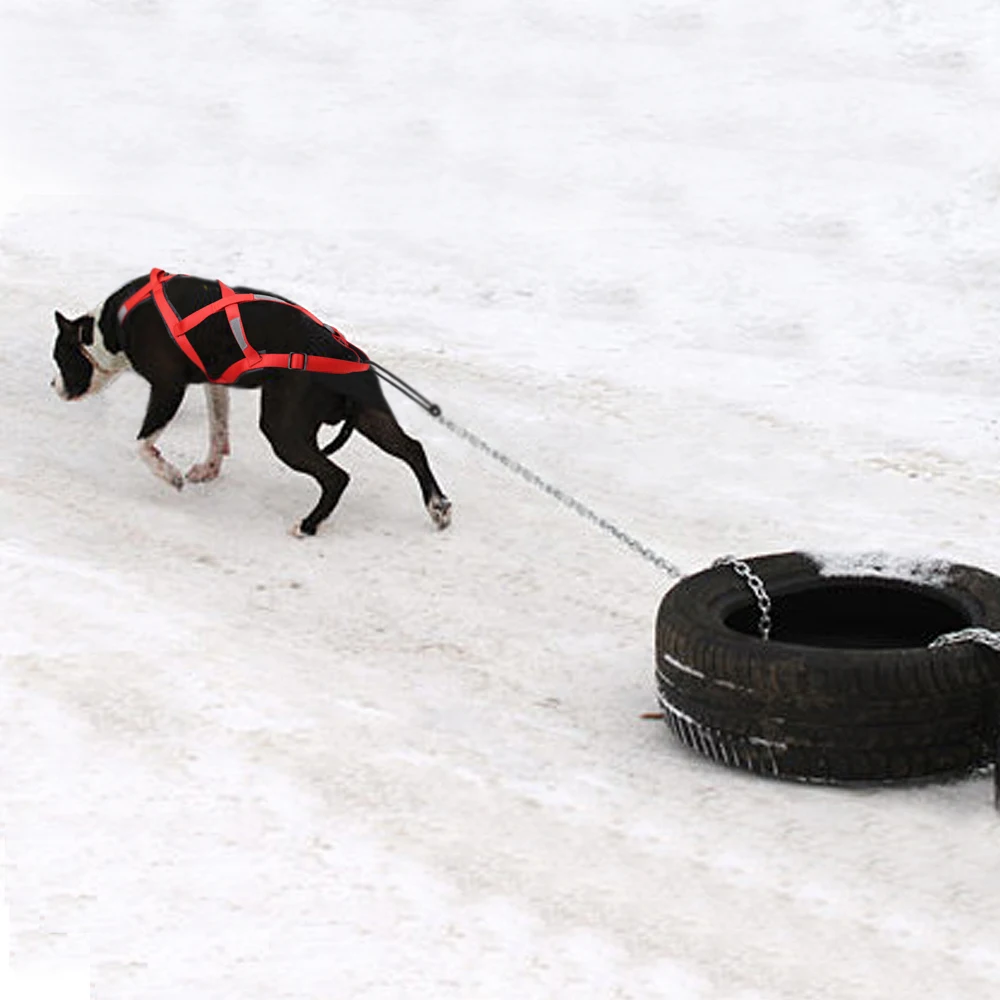 Водонепроницаемый собачья упряжка проводки Pet Mushing поводок для больших собак