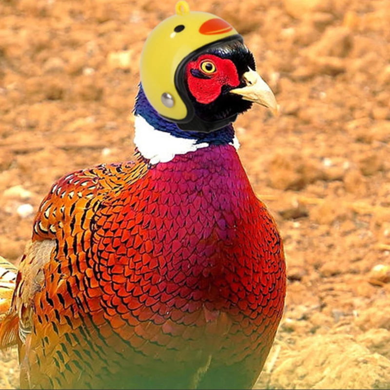 

3 шт. курица шлем ошейник для маленьких животных, Безопасность велосипедные шлемы защиты во главе с курицей игрушечный шлем для цыплят кур-н...