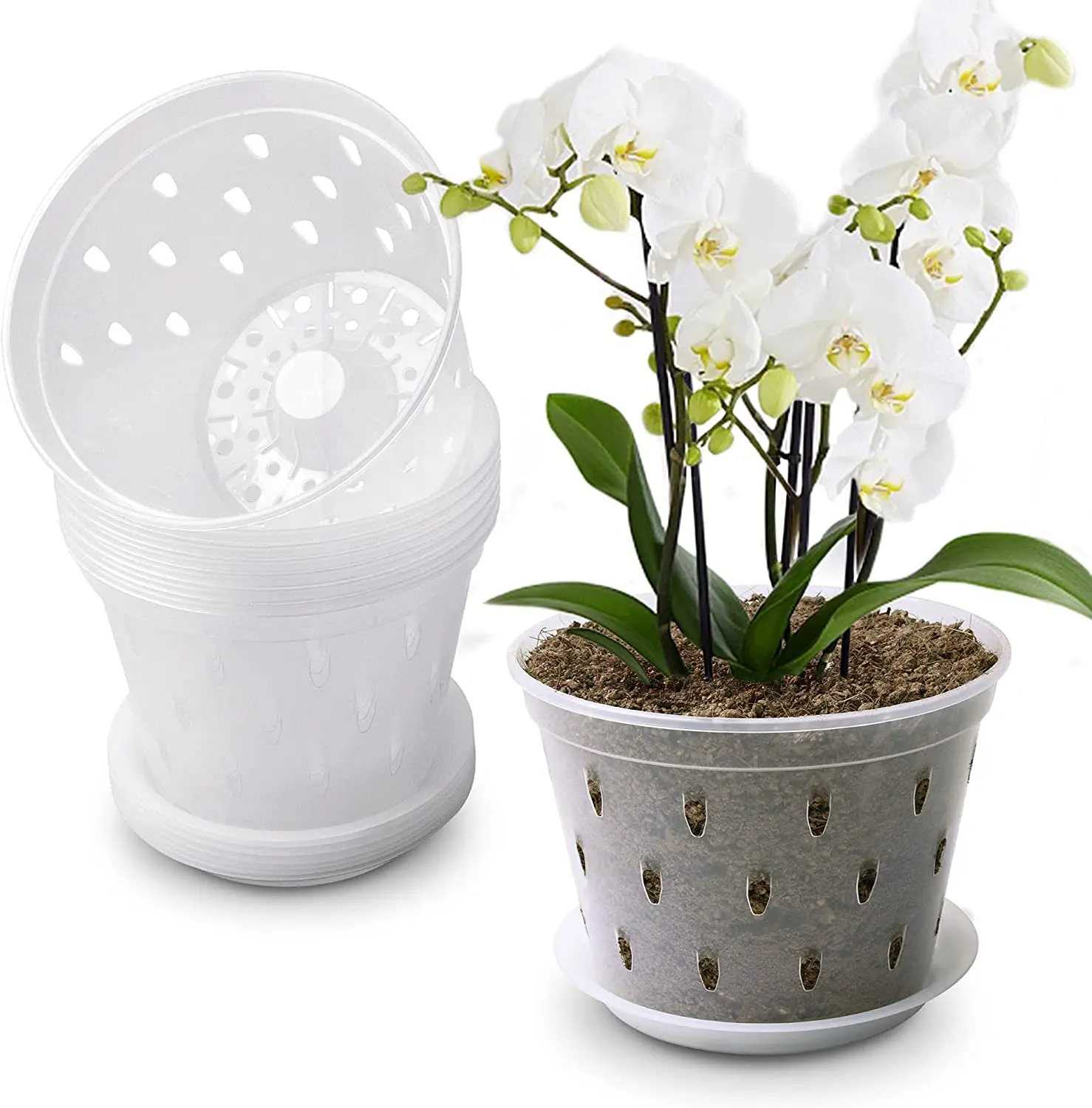 

10 шт., прозрачные горшки с отверстиями