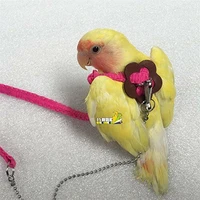 adjustable parrot bird harness leash multicolor light soft fashion anti bite training rope outdoor flying harness leash
