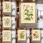 Винтажная Растительная живопись на холсте, постеры с дикими цветами, печатные растения, иллюстрации, настенные картины для украшения дома