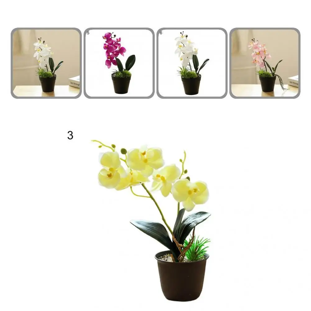 

Unique Aesthetic Colorful Art Butterfly Orchid Bonsai Handicraft Hard to Fade Art Bonsai Handicraft Elegant for Home