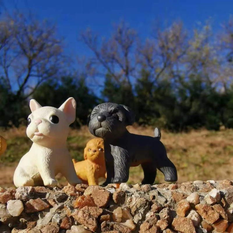 Щенок собака/миниатюрные/милые/Сказочный Садовый Гном/Террариум с мхом