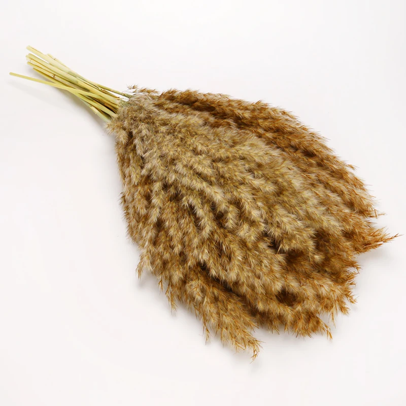 Натуральная сушеная трава пампасы фрагмиты связка свадебных цветов для