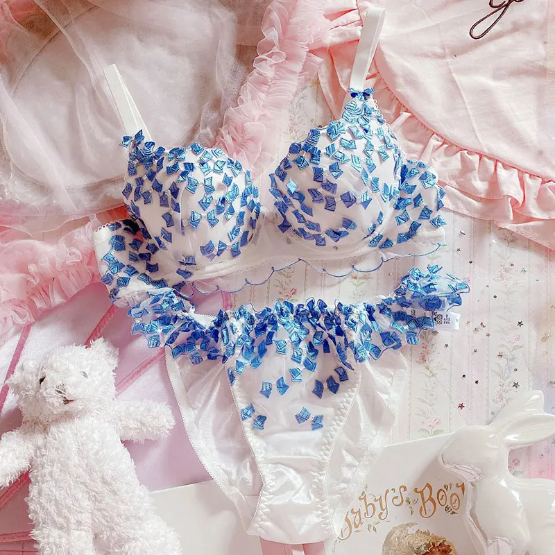 French Plus Size Women Sexy Push Up Bra And Panty Set Women Underwear Embroidery Female Underwire Lingerie Panties And Bra Set