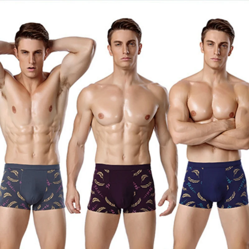 4 шт./лот мужские боксеры из бамбука большого размера соблазнительные шорты для