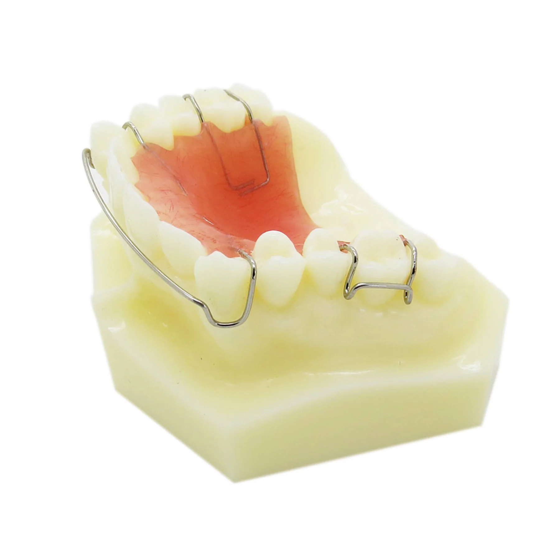 

Dental Orthodontic demonstration Model Hawley Retainer Model M3007
