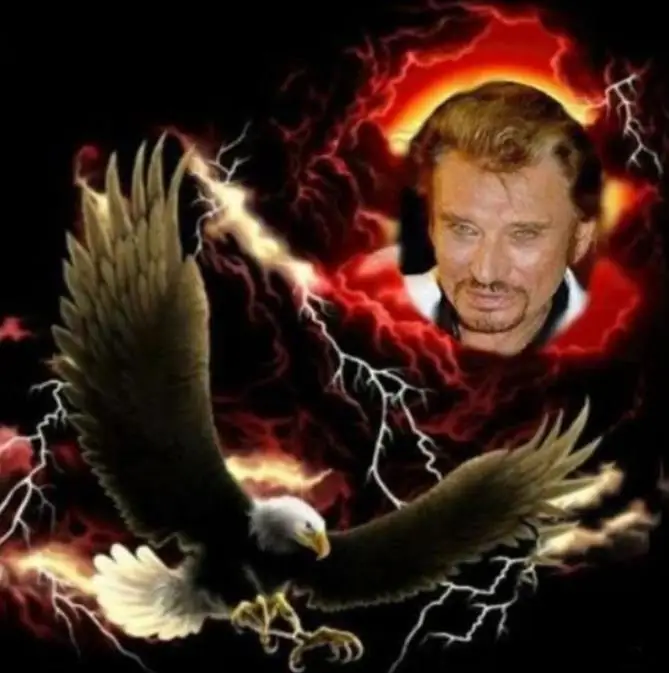 

New rock singer Johnny Hallyday (Johnny Hallyday) Diamond Painting Cross Stitch Kit Diy Diamond Embroidery 3D Diamond Diamond Mo