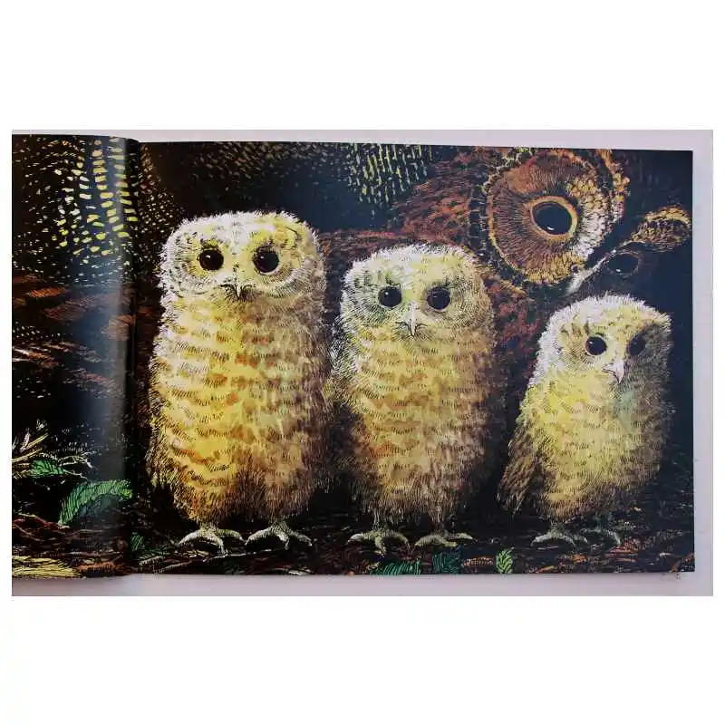 Обучающая книга для детей с изображением совы Мартенс ваделл|Чтение| |